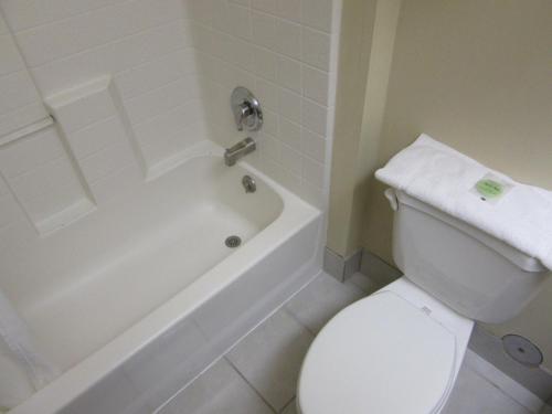 a bathroom with a white toilet and a tub and a sink at Yellowstone Lodge in West Yellowstone