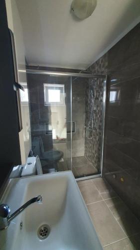 y baño con ducha, lavabo y bañera. en Flat in Trpejca, en Ohrid