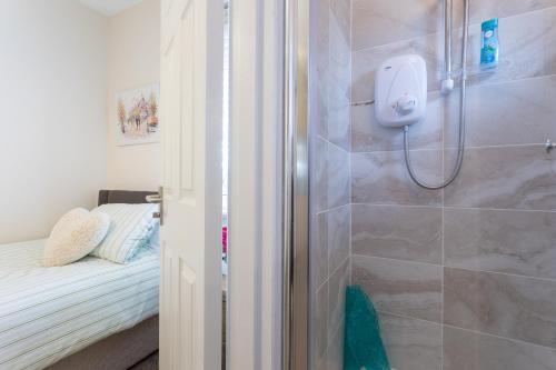a bathroom with a shower and a bed in a room at Silver Sea in Galway