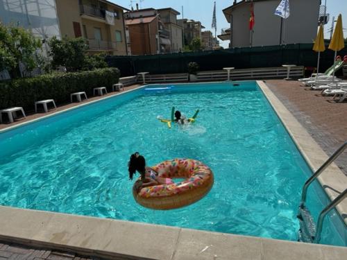 2 cani che nuotano in una piscina con zattera di salvataggio di Hotel Crystal a Rimini