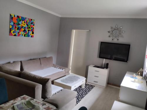 ein Wohnzimmer mit einem Sofa und einem TV in der Unterkunft Apartman All seasons in Sarajevo