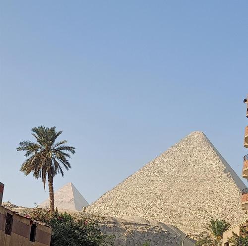une image des pyramides et d'un palmier dans l'établissement Big , Pyramid view, au Caire