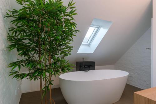 House K – Photos 5
