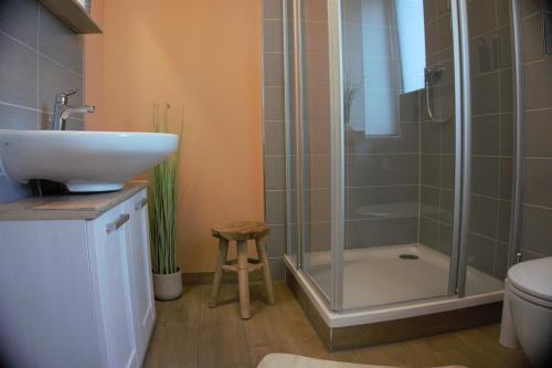 a bathroom with a shower and a sink and a toilet at Ferienwohnung TrautesHeim - Parkplatz gratis in Ilmenau