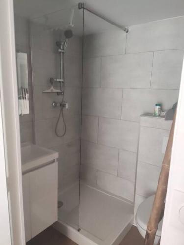 une douche avec une porte vitrée dans une salle de bain dans l'établissement Bord de mer : studio avec salon d'été à Sausset, à Sausset-les-Pins