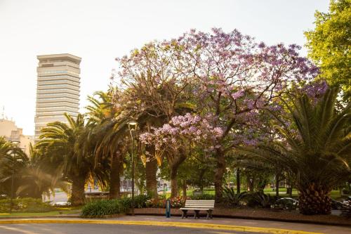 a park with a bench and trees with purple flowers at Park Tower, A Luxury Collection Hotel, Buenos Aires in Buenos Aires