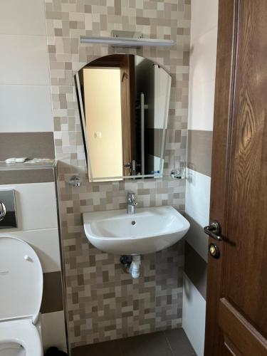 a bathroom with a sink and a toilet and a mirror at Апартаменти и Студиа Алекса Созопол Apartments and Studios Alexa Sozopol in Sozopol