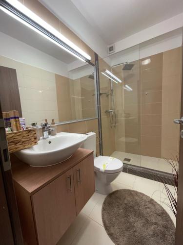 W łazience znajduje się umywalka, toaleta i prysznic. w obiekcie East View by DAT Apartments w Klużu-Napoce