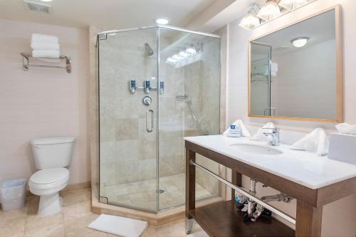 uma casa de banho com um chuveiro, um lavatório e um WC. em Four Points by Sheraton Melville Long Island em Plainview