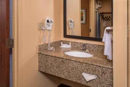 a bathroom counter with a sink and a mirror at Fairfield Inn Dulles Airport Chantilly in Chantilly