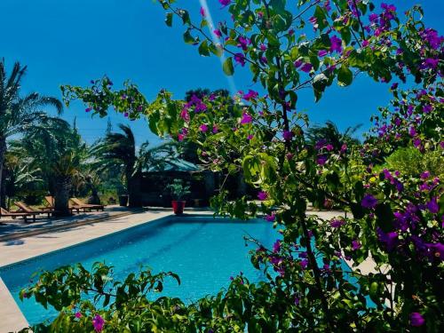 a swimming pool in a resort with purple flowers at Tropic Hôtel in Rivesaltes