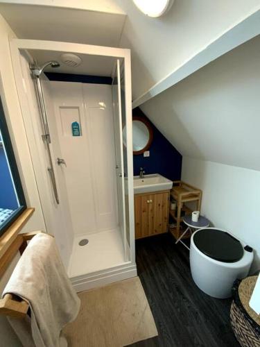 a bathroom with a shower and a sink at Charmante petite maison in Les Renardières