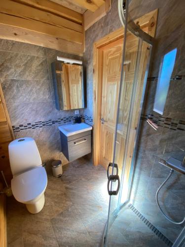 a bathroom with a toilet and a shower at Zvejnieku māja in Jūrkalne