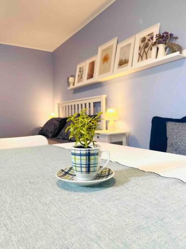 Gallery image of Cozy and Newly renovated apartment in Gavrio in Gavrion
