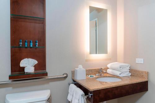 a bathroom with a sink and a mirror and a toilet at Delta Hotels by Marriott Kalamazoo Conference Center in Kalamazoo