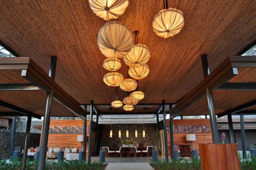 a group of yellow umbrellas hanging from a wooden ceiling at El Mangroove Papagayo, Autograph Collection in Papagayo, Guanacaste