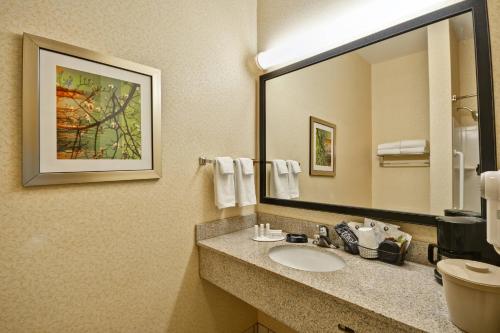 a bathroom with a sink and a mirror at Fairfield Inn and Suites by Marriott Birmingham Fultondale / I-65 in Fultondale