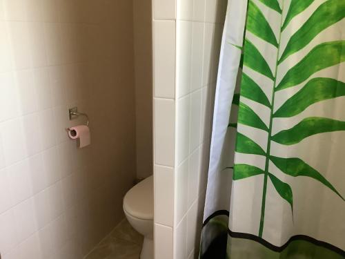 a bathroom with a toilet and a shower curtain at la dolce farniente in Biaudos