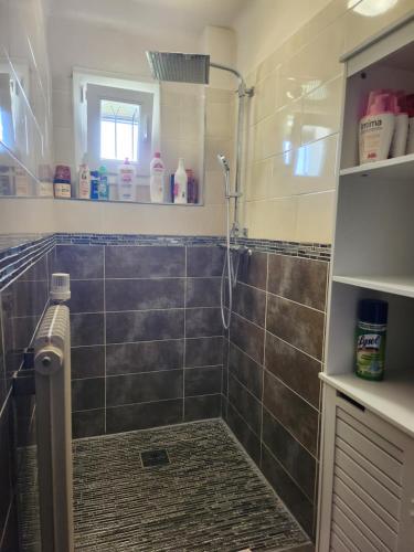 La salle de bains est pourvue d'une douche et de carrelage. dans l'établissement Le domaine de shania, à Provenchères-sur-Fave