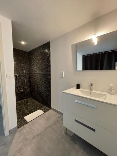een badkamer met een wastafel en een douche bij Appartement Zuria T3 in Bonifacio