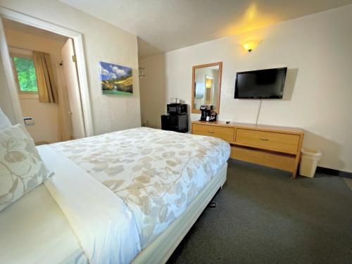 um quarto com uma cama e uma televisão de ecrã plano em Alger Falls Motel em Munising