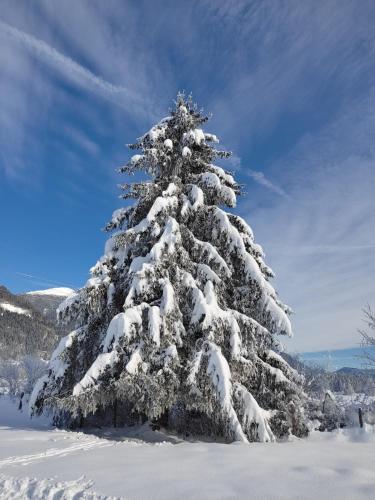 Gallery image of Gasthof zur Schmiede in Berg im Drautal