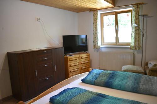 1 dormitorio con 1 cama, vestidor y TV en Ferienwohnung en Fraxern
