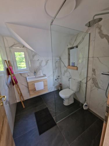 a bathroom with a toilet and a glass shower at Grey green and fun 4 YOU - 2 Cottages in Drganja Sela