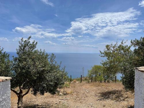 a field with trees and the ocean in the background at Chalet in Adra with Sea & Mountain Views in Las Hoyas del Barranco
