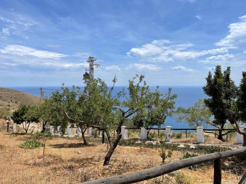 a field with trees and a fence in front of the ocean at Chalet in Adra with Sea & Mountain Views in Las Hoyas del Barranco