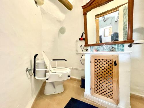 a bathroom with a toilet and a mirror at Cave House in Cúllar near Tabernas Desert in Margen de Abajo