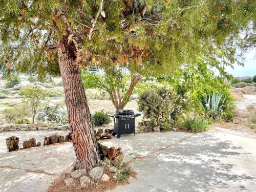 a tree with a trash can next to a trash can at Cave House in Cúllar near Tabernas Desert in Margen de Abajo