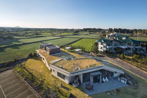 an aerial view of a house in a vineyard at Jimi Stay in Jeju