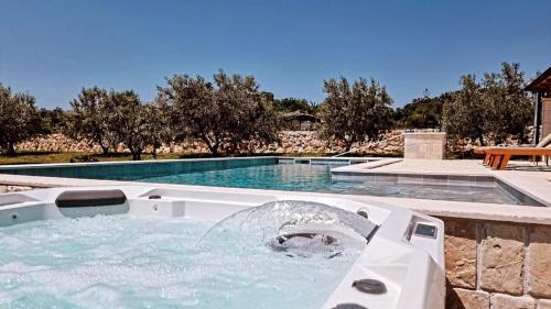 a swimming pool with a shark in the water at NEW 2023 Villa Tree of Life in Sveti Petar