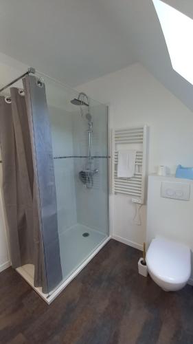 uma casa de banho com um chuveiro e um WC. em ENTRE LOIRE ET CHER Gîte "Le Nid Douillet" em Tour-en-Sologne
