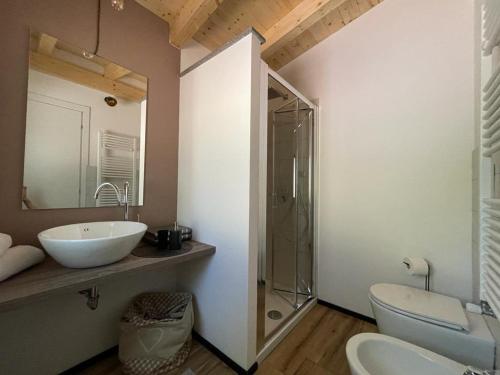 uma casa de banho com um lavatório, um WC e um espelho. em La Marmotta COUNTRY RELAIS sul lago em Anguillara Sabazia