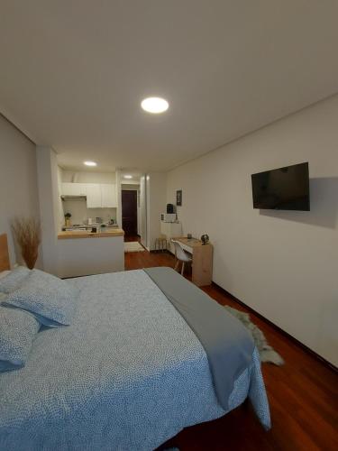 a bedroom with a large bed and a kitchen at La Cabaña in Vigo