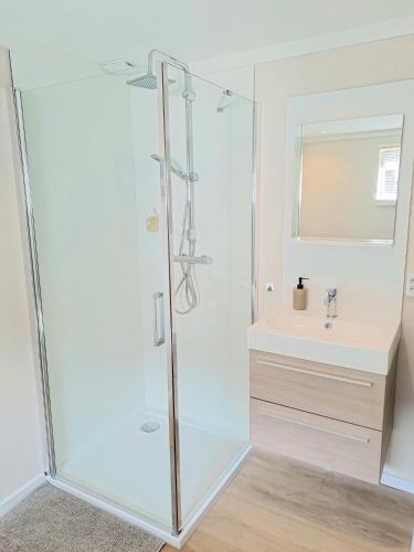 La salle de bains est pourvue d'une douche en verre et d'un lavabo. dans l'établissement Berend Bedje in Zuidlaren, à Zuidlaren