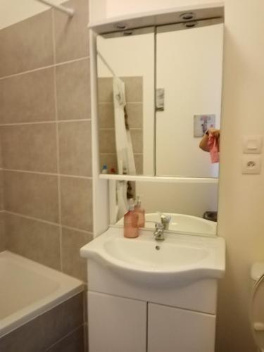 une salle de bain blanche avec un lavabo et un miroir dans l'établissement Le passage de Gardie, à Gardie