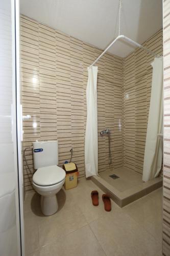 a bathroom with a toilet and a shower at Villa Rita in Ohrid