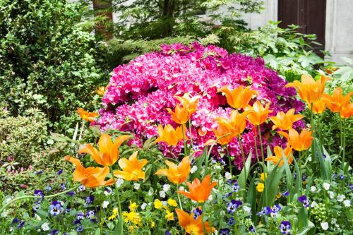 a bunch of flowers in a garden at Hotel Lombardia in Milan