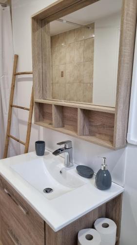 une salle de bain avec un lavabo et un miroir dans l'établissement les gîtes d 'EVANE 