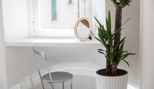 a mirror and a plant on a window sill at Ca Bussun in Domodossola