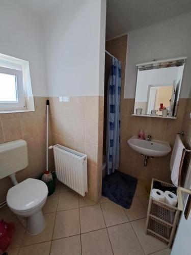 Koupelna v ubytování Pintér Apartman