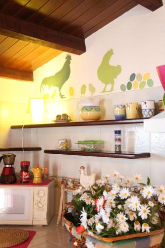 a kitchen with shelves with cats on the wall at Vacanze al Mare Patrizia's Sweet Home in Terme Vigliatore