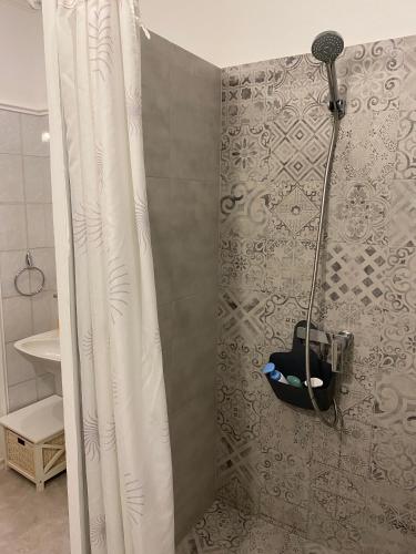 a shower with a shower curtain in a bathroom at Apartmani Maximus in Subotica