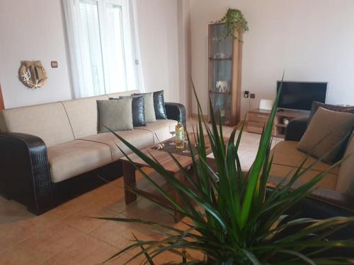 Posezení v ubytování Family & friends Maisonette in the center of Lixouri