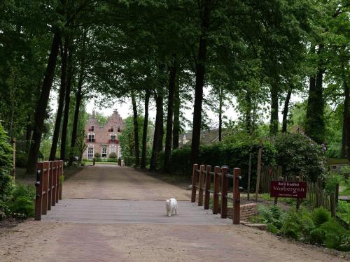 a white cat walking down a walkway in a park at Landgoedhoeve Vosbergen in Heerde