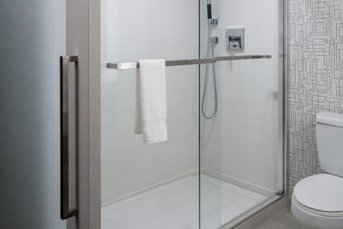 a bathroom with a glass shower with a toilet at St. Petersburg Marriott Clearwater in St Petersburg