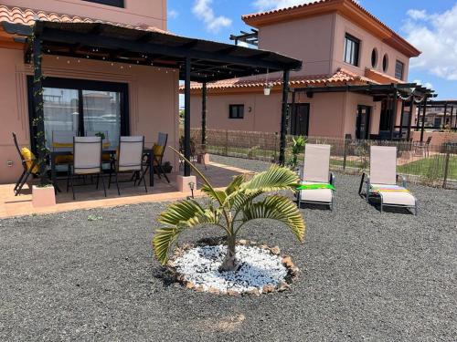 a house with a palm tree in front of a patio at Casa Alaia in Lajares